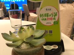 -眉州东坡(北苑华贸店)