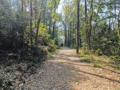 -青龙山国家森林公园