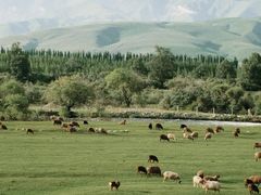-新疆那拉提国家旅游度假区