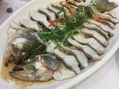 -金华安大酒楼·老牌潮菜·粤式茶点(东方国际店)