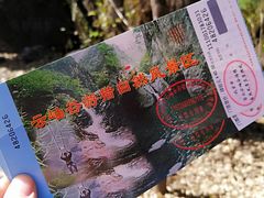 -云岫谷自然风景区