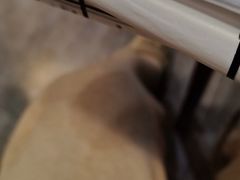 -狮龙啤酒烧烤屋(建二路店)