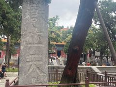 -中岳庙