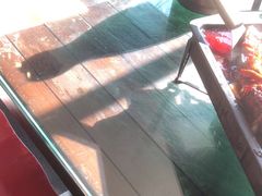 -江边城外烤全鱼(方庄时代购物中心店)