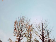-百林公园-两江幸福广场