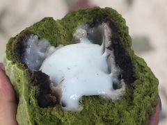 红豆嘟嘟-奈雪的茶(石家庄万象城店)