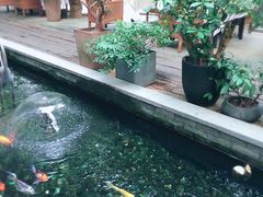 -T館·花园艺术餐厅