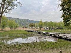 -长广溪湿地公园