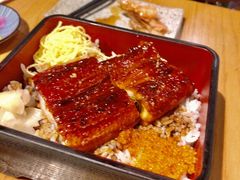 -Hatsune隐泉日式料理(三里屯太古里店)
