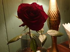 -柏蔻餐厅Le Banquet Bistro(天河北店)