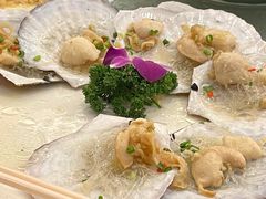 -顺德君豪酒店(佛山容桂渔人码头店)