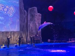 -华夏文旅海洋公园