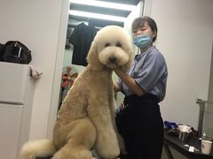 -宠物家(角门东店)