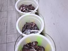 -易毛特色牛肉面(解放碑步行街店)