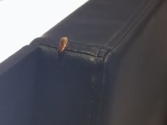 -JOYA湾悦国际酒店(世界之窗店)