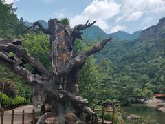 -龙湾潭国家森林公园