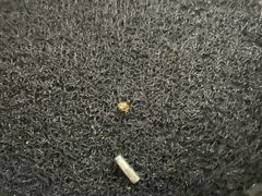 -龙捷快修(方洲邻里中心店)