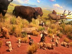 -陕西自然博物馆