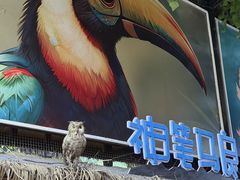-海南槟榔谷黎苗文化旅游区