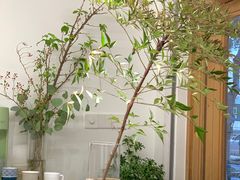 大堂-素咫咖啡CLIFEROSE