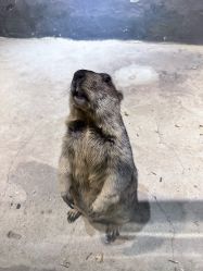 -酷嗒动物文化乐园(cutezoo西溪乐天城店)