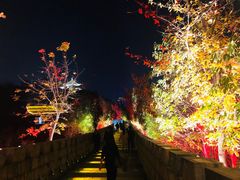 -永康小长城
