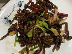 -张鸟园农家乐(张鸟园店)