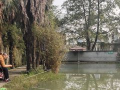 -成飞公园