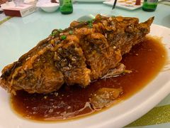 -金春禧(世茂国际广场店)