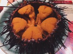 海胆-萨拉伯尔水源素问店·韩国宫廷料理(人民路店)