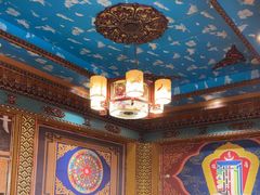 -金鼎雪山牦牛杂火锅(理县总店)