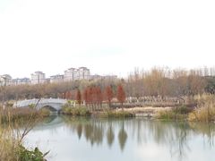 -昆山城市生态森林公园