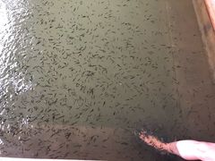 -楼观道温泉酒店