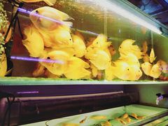 -华声天桥民俗文化园