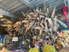 -三圣花乡旅游区