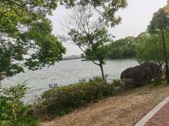 -金鸡湖桃花岛