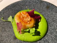 -觀芷隐轩
