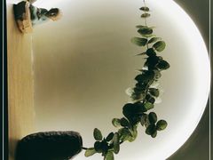 -小茶闲舍·观景商务茶馆(广州塔店)