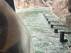 -宁波罗蒙环球乐园