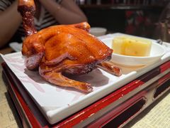 红烧乳鸽-大鸽饭(北京路店)