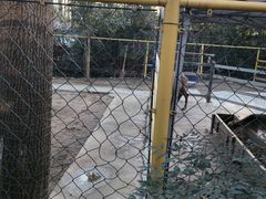 -合肥滨湖国家森林公园