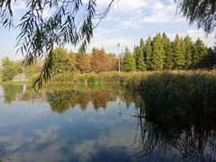 -东湖落雁景区