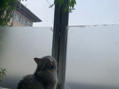 -小时光咖啡馆(北锣鼓巷店)