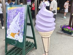 -富田农场