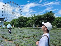 -百万葵园