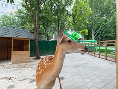 -海德温泉生活馆(朝阳大悦城店)