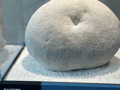 -中国湿地博物馆