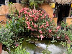 -园林美食城·本土农家菜(杨和镇店)