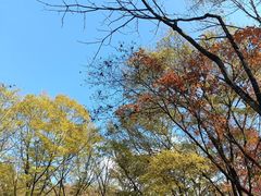 -关门山森林公园