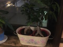 -芳满庭·江浙小馆(1912店)